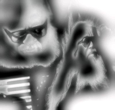 Brancos albinos brasileiros geniais